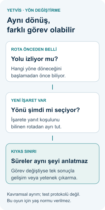 Önceden bilinen rotayı, yeni işarete göre yön seçimini ve farklı görevleri kıyaslamama sınırını ayıran YETVİS şeması