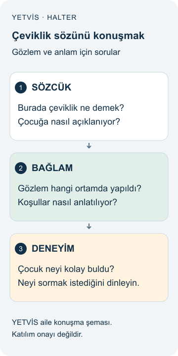 Halterde Çevikliği Konuşmak: Bağlam ve Aile Soruları YETVİS aile soru şeması: Çeviklik sözünü konuşmak