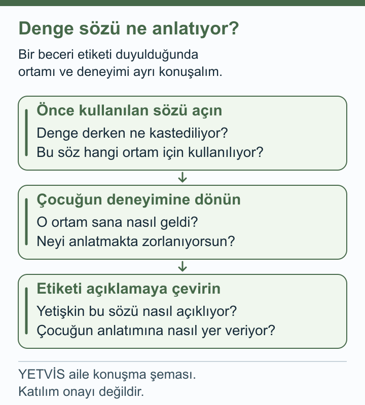 Triatlonda Denge Gözlemi: Bağlamı ve Soruyu Ayırmak YETVİS aile soru şeması: Denge sözü ne anlatıyor? — aile konuşma şeması