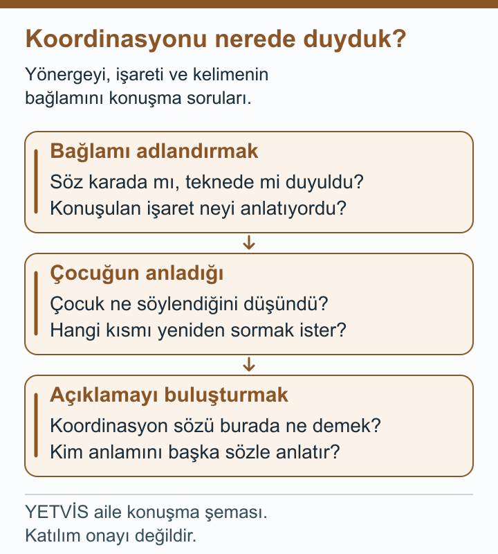 Kanoda Yönergeyi Anlamak: Açıklamanın Bağlamı YETVİS aile soru şeması: Koordinasyonu nerede duyduk? — aile soru şeması