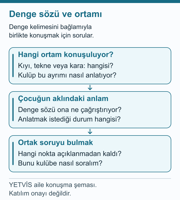 Kanoda Denge Gözleminin Bağlamı: Yorumu Ayırmak YETVİS aile soru şeması: Denge sözü ve ortamı — aile soru şeması
