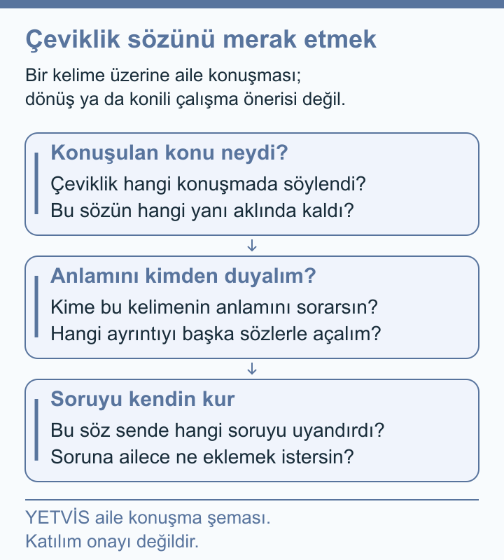 YETVİS aile soru şeması: Çeviklik sözünü merak etmek