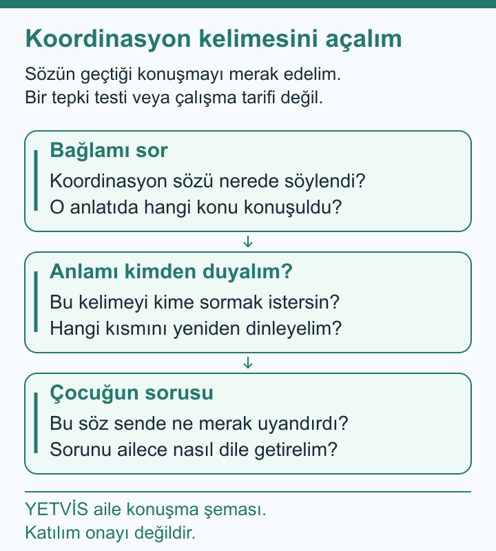 Buz Pateninde Koordinasyon Yorumunun Bağlamını Sormak YETVİS aile soru şeması: Koordinasyon kelimesini açalım