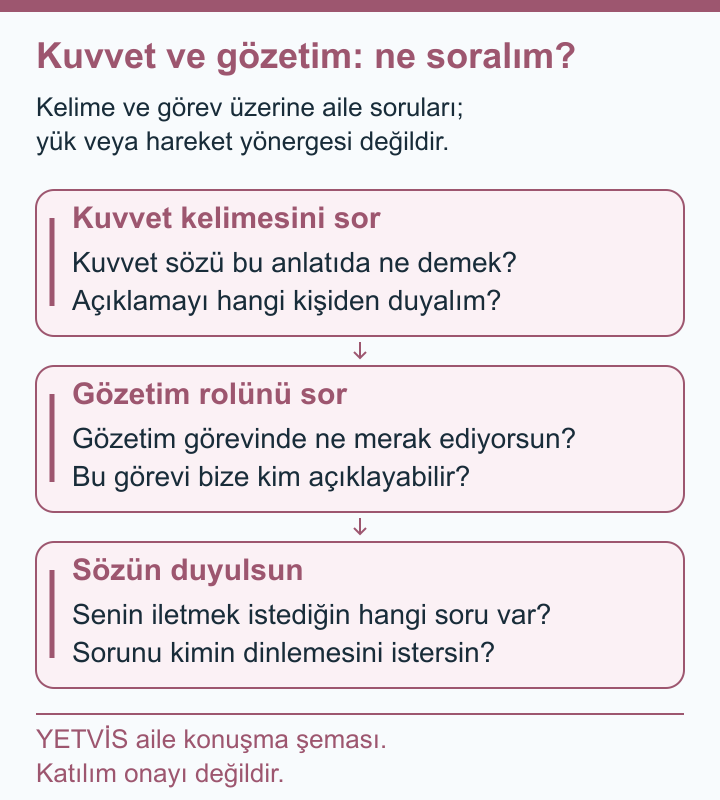 Buz Pateninde Kuvvet Sözü ve Yetişkinlerin Rolleri YETVİS aile soru şeması: Kuvvet ve gözetim: ne soralım?