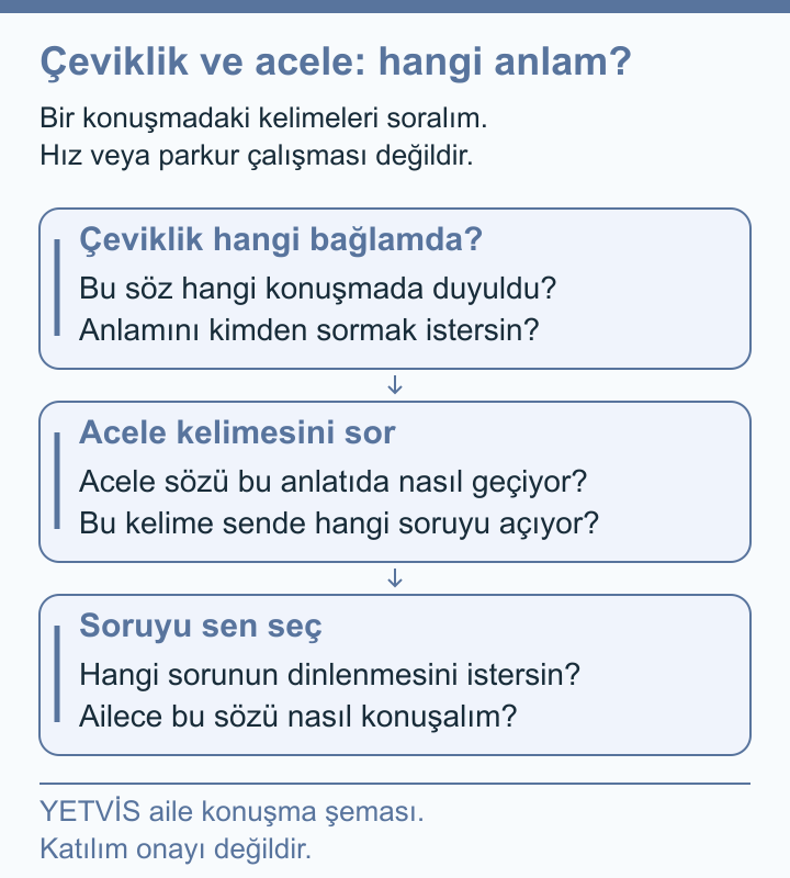 YETVİS aile soru şeması: Çeviklik ve acele: hangi anlam?