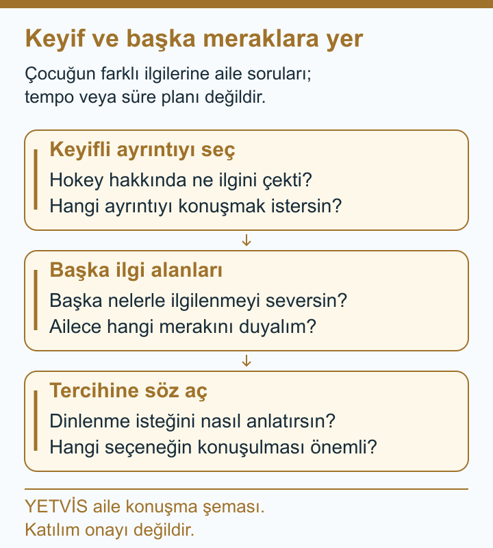 Hokeyde Keyif, Arkadaşlık ve Aile Takvimindeki Yer YETVİS aile soru şeması: Keyif ve başka meraklara yer