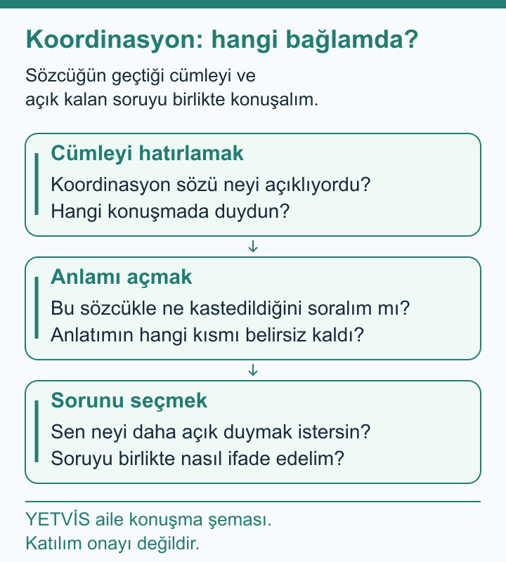 Beyzbol Sohbetinde Koordinasyon Sözü Neyi Anlatıyor? YETVİS aile soru şeması: Koordinasyon: hangi bağlamda?