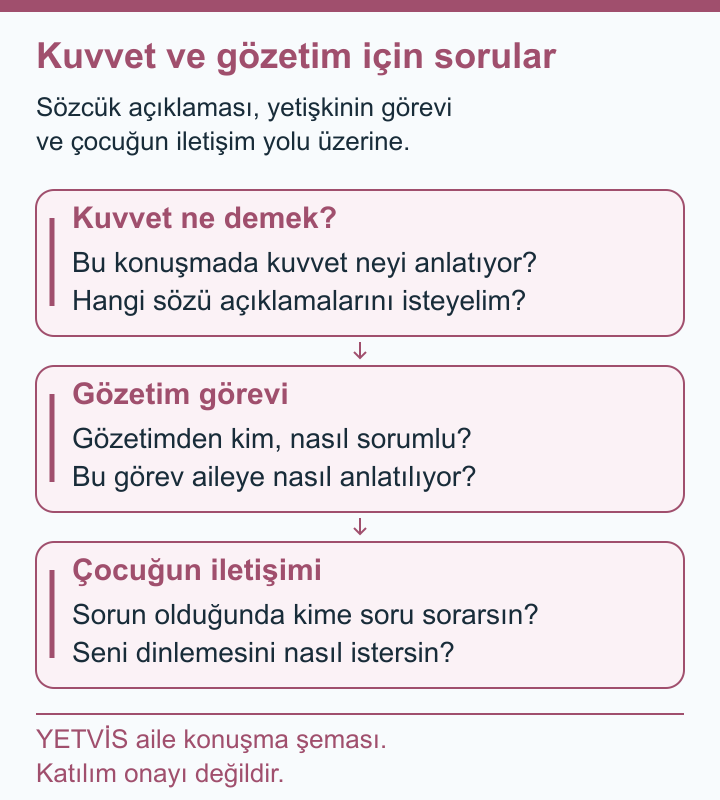 Beyzbolda Kuvvet Sözü ve Veli Desteğinin Rolü YETVİS aile soru şeması: Kuvvet ve gözetim için sorular