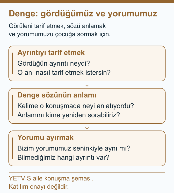 Softbolda Görülen Ayrıntıyı Yetişkin Yorumundan Ayırmak YETVİS aile soru şeması: Denge: gördüğümüz ve yorumumuz
