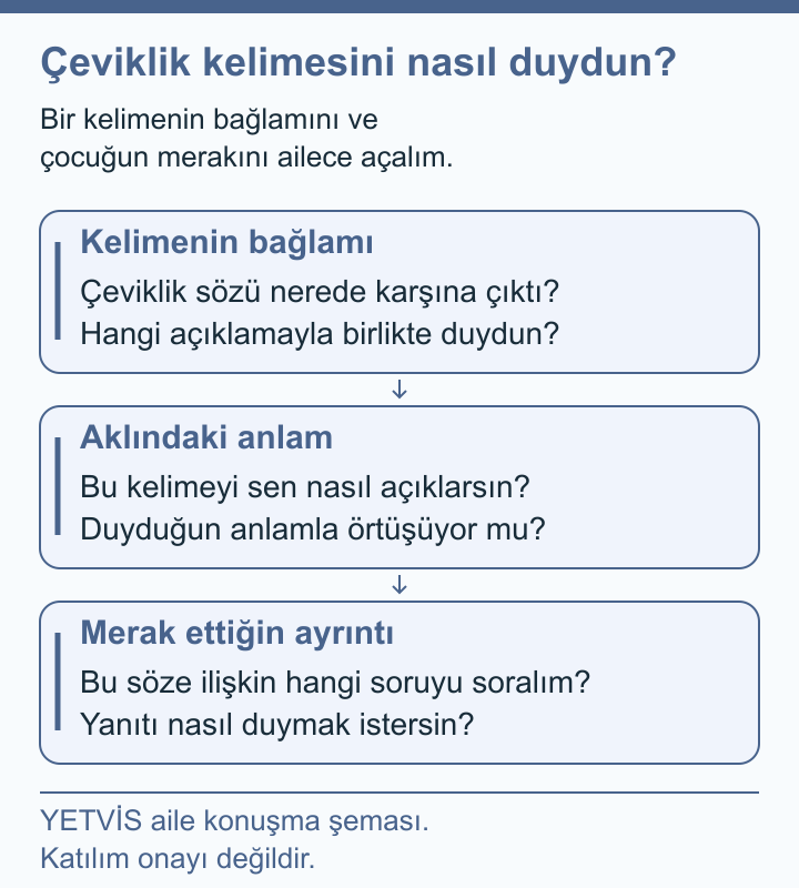 Softbolda Çeviklik Sözü ve Ailede Acele Beklentisi YETVİS aile soru şeması: Çeviklik kelimesini nasıl duydun?