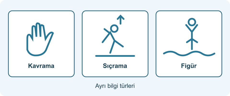 Artistik Yüzmede Kuvvetin Anlamı Kavrama, sıçrama ve figür.