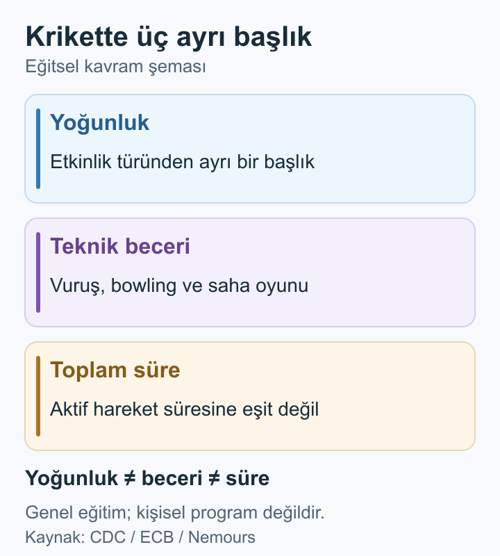 Kriket Dayanıklılık Gelişimi: 8–10 Yaş İçin Rehber Kriket oturumunda yoğunluk, beceri ve süreyi ayıran üç kart